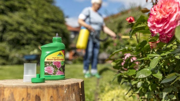Neudo-Vital Rosen-Spritzmittel enthält pflanzliche Stoffe. Bild: Neudorff.
