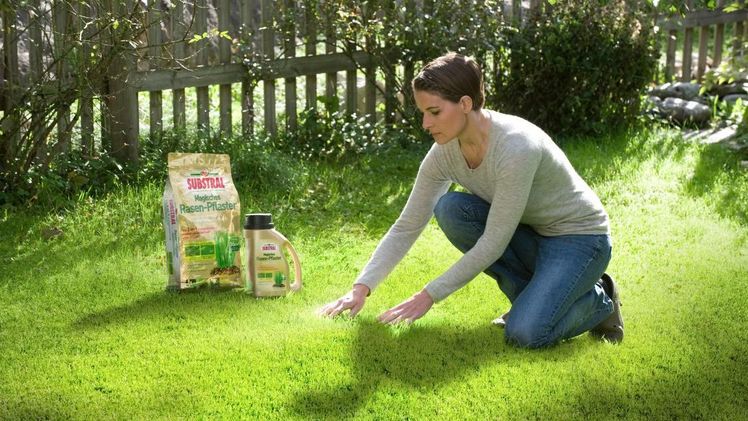 SUBSTRAL® Magisches Rasen-Pflaster ist eine 3in1-Reparatur-Kombination aus Rasensamen, Premium-Keimsubstrat und Dünger. Bild: © Evergreen Garden Care.