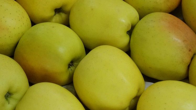 Die nächste Ausgabe von medFEL findet am 22. und 23. April 2020 im Messezentrum Perpignan statt. Bild: GABOT.