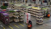 Royal FloraHolland hat die aktuellen Regeln weiter angepasst. Bild: GABOT.