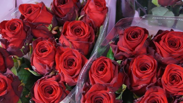 Die niederländischen Blumenexporteure sprechen von einem  "moderaten Valentinstag". Bild: GABOT. 