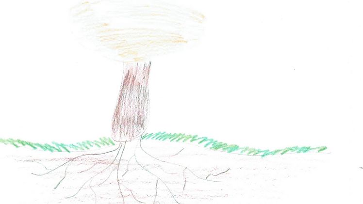 Mit kleinen Kunstwerken stellen Kinder unter Beweis, dass sie mit der Pilzbox einiges gelernt haben. Bild: BDC.