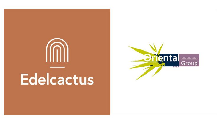 Die Oriental Group und Edelcactus gehen intensive Zusammenarbeit ein.