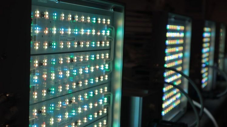 Mit der neusten DH Licht LED Leuchte der LED-KE 400 VSP ist es gelungen, neben dem VSP Spektrum auch die Leistung der Leuchte bei weiterhin passiver Kühlung zu erhöhen. Bild: DH Licht.