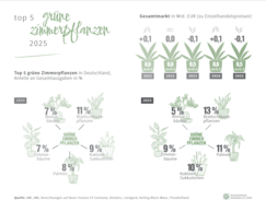 Top 5 grüne Zimmerpflanzen in Deutschland. Grafik: ZVG.