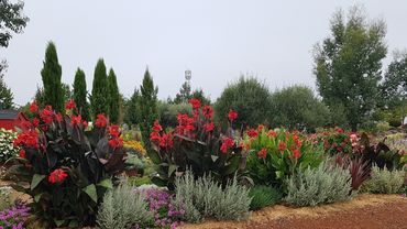 Impressionen aus dem Schaugarten. Bild: GABOT.
