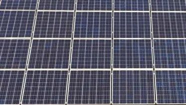 Minister Peter Hauk und Staatssekretärin Gisela Splett weihen dritte Pilotanlage der Modellregion Agri-PV ein. Bild: GABOT.