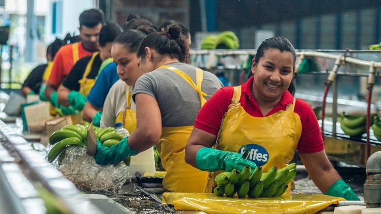 Fyffes veröffentlicht zweiten Nachhaltigkeitsbericht. Bild: Fyffes.