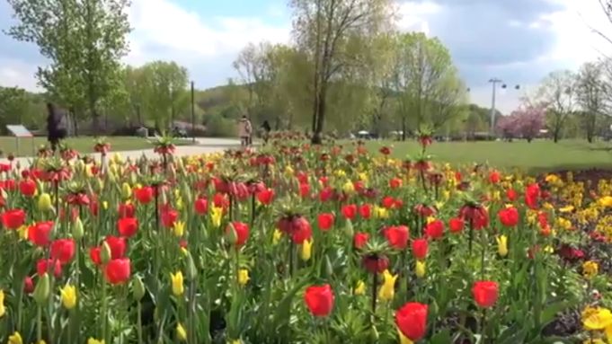 IGA Berlin 2017. Screenshot: GABOT.