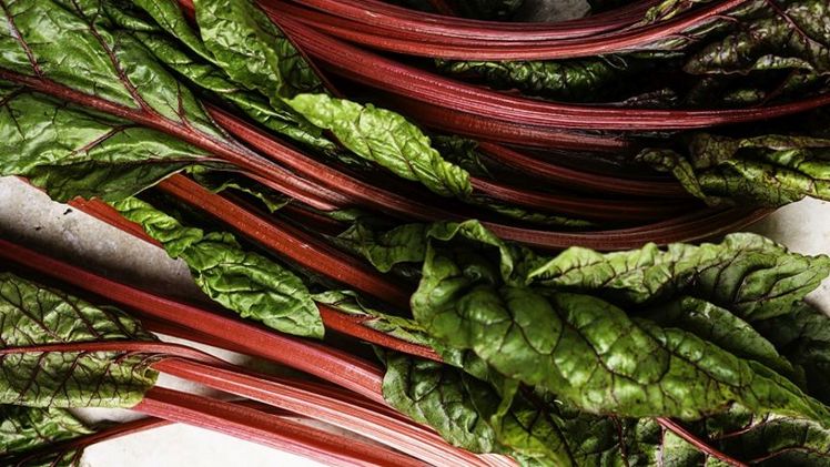 Mangold begeistert nicht nur geschmacklich, sondern bringt mit seinen bunten Stielen auch Farbe ins Spiel. Bild: Olga Laitenberger (voll_korn) / Obst & Gemüse – 1000 gute Gründe.