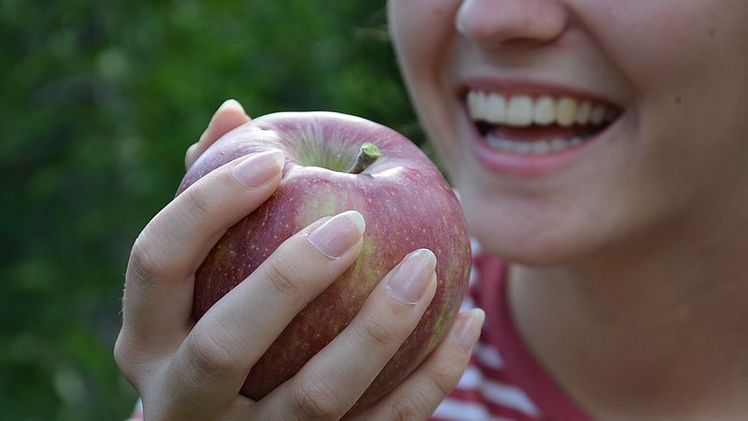 Erntebeginn im Rheinland. Bild: Sabine Weis.