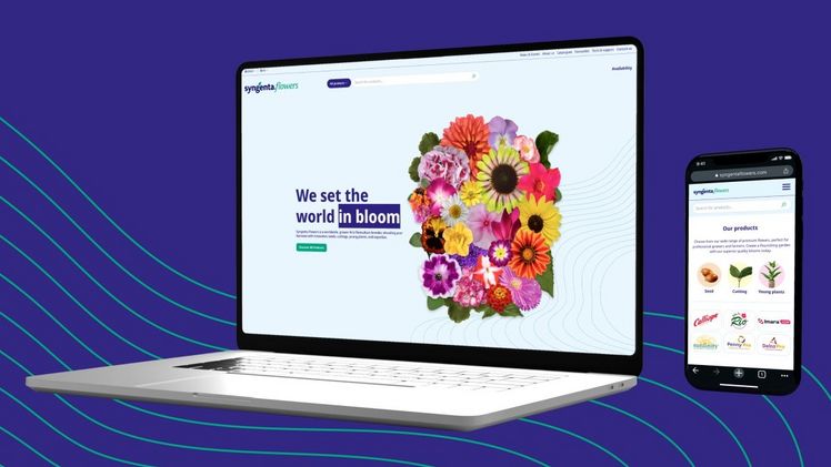 Syngenta Flowers stellt neue Website mit verstärktem regionalem Fokus und erweiterter Funktionalität vor. Bild: Syngenta Flowers.
