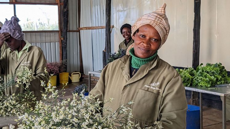 Import Promotion Desk stellte auf seiner Einkäuferreise Anfang Juni das bunte und qualitativ hochwertige Angebot von kleineren Farmen vor. Bild: IPD. Import Promotion Desk stellte auf seiner Einkäuferreise Anfang Juni das bunte und qualitativ hochwertige Angebot von kleineren Farmen vor. Bild: IPD.