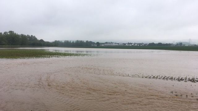 Überflutete Flächen im Kreis Lippe. Bild: Vereinigte Hagel.