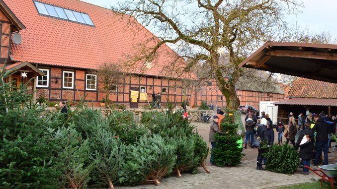 Auch in diesem Jahr werden vor den Hofläden und zwischen Ställen und Scheunen zahlreiche Weihnachtsbäume von bester Qualität im Angebot sein. Bild: Hof Heuer.