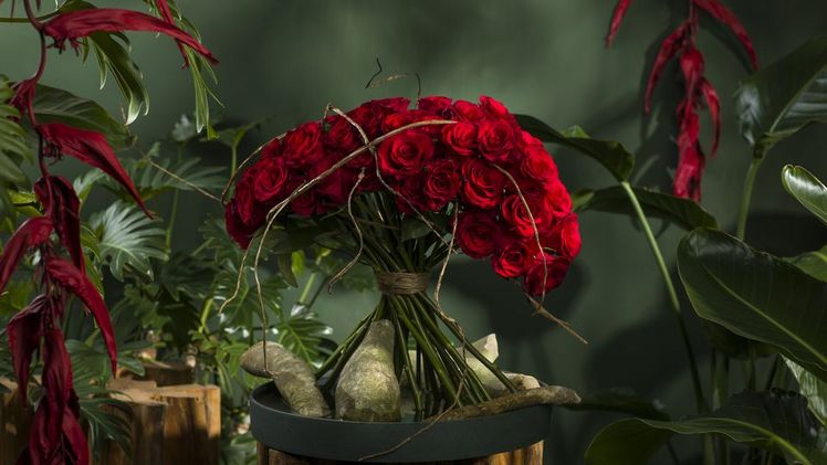 Red Tacazzi+ ist auch eine schöne Erscheinung in Mono-Sträußen. Bild: Dümmen Orange.