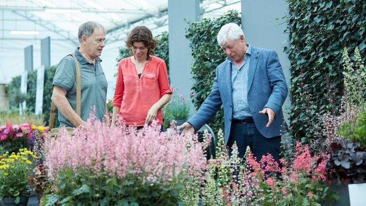 Innovationen der Spitzenklasse bei Gehölzen und mehrjährigen Pflanzen zeigt die zweite Ausgabe der Garden Trials and Trade. Bild: Garden Trials and Trade. 