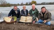 Susanne Schulze Bockeloh mit den Münsteraner Spargelbauern, v.l.n.r.: Wilhelm Spielbrink, Burkhard Lütke Laxen und Stephan Bäcker. Bild: WLV.