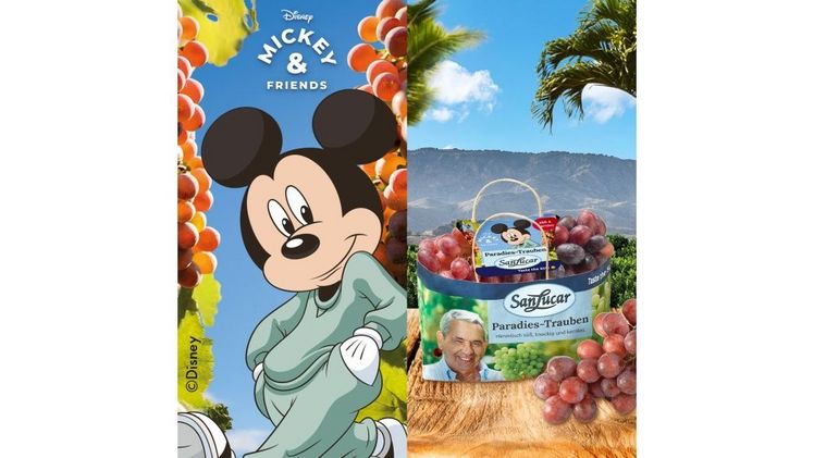 Mit goldenen Disneys Mickey Sticker geht es in den Süden. Bild: © SanLucar.