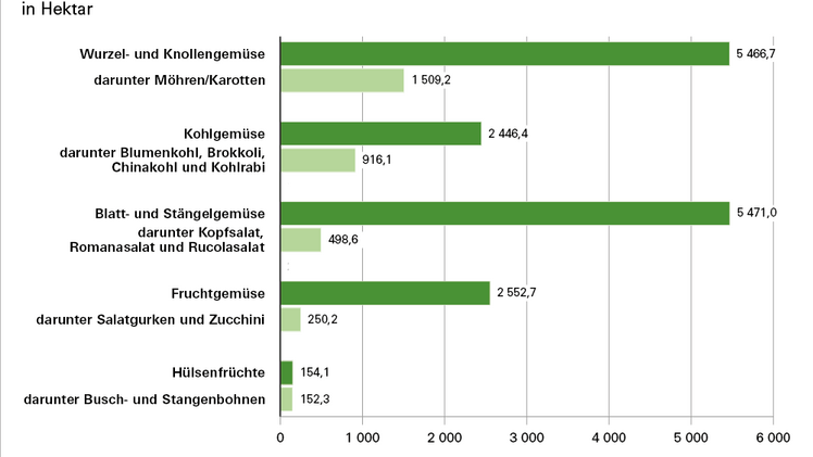 Anbaufläche von Gemüsegruppen im Freiland. Bild: Bayerisches Landesamt für Statistik.