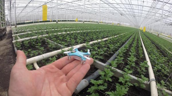 Start-Up-Konzepte wie eine Minidrohne zur autonomen Bekämpfung von Schädlingen werden auf der FRUIT LOGISTICA vorgestellt. Bild: PATS Indoor Drone Solutions.