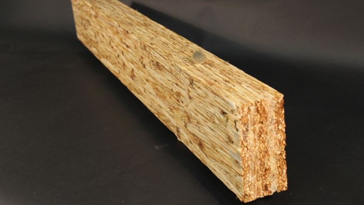 Die Balken aus Riesenchinaschilf haben ihre Festigkeit im Labor unter Beweis gestellt. Die Belastungstests waren sogar etwas besser als die von Konstruktionsvollholz. Bild: Universität Siegen.