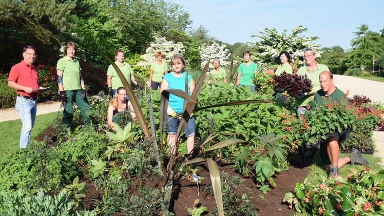 Der Sommer kehrt ins Blumenband ein. 12.000 Pflanzen kommen diese Woche in die Erde.