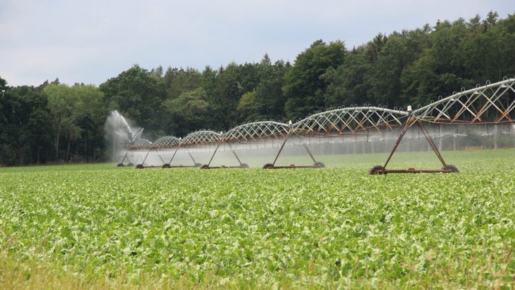 Die Podiumsdiskussion: „Wo drückt der Wassermangel wen? Betroffenheiten, Herausforderungen, Bedarfe, Wünsche“ steht im Mittelpunkt der Tagung. Bild: Landvolk.