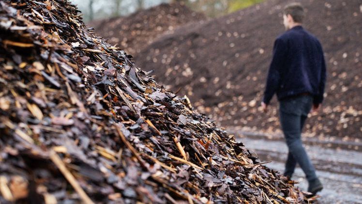 Kompostierte Rinde, die den entwickelten Standards des Qualitätszeichens entspricht, kann sicher in Kultursubstraten im Rahmen des RHP-Qualitätszeichens verwendet werden. Bild: RHP.