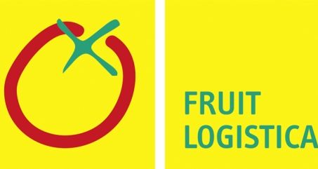 Trendreport "Fruchthandel 2025" der FRUIT LOGISTICA.