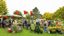Der „Herbstmarkt im Park“ findet am 3. Oktober statt. Bild: Foto: Hartmut Ahlers/Park der Gärten.