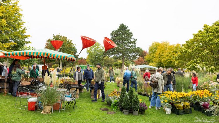 Der „Herbstmarkt im Park“ findet am 3. Oktober statt. Bild: Foto: Hartmut Ahlers/Park der Gärten.