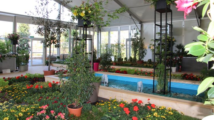 Die zweite Hallenschau in der Blumenhalle ist eröffnet. Bild: Landesgartenschau Bad Dürrenberg 2023.