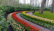 Der Keukenhof bleibt vorläufig geschlossen. Bild: Keukenhof. 