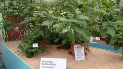 Gartenbau Steffen Poike