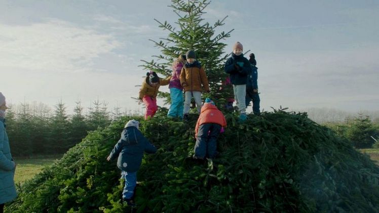 Weihnachtsbaumbetriebe in ganz Deutschland öffneten ihre Tore und boten ein buntes Programm für die ganze Familie. Foto: ICH&ER. 