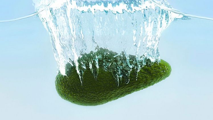 Als erster Lebensmittelhändler in Deutschland testet die REWE Group, ob und wenn ja in welchem Umfang Coating dazu beitragen kann, Verluste und Verschwendung von Lebensmitteln einzudämmen. Bild: REWE Group.  Als erster Lebensmittelhändler in Deutschland testet die REWE Group, ob und wenn ja in welchem Umfang Coating dazu beitragen kann, Verluste und Verschwendung von Lebensmitteln einzudämmen. Bild: REWE Group.