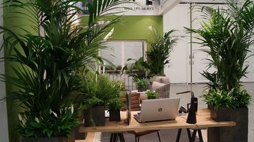 Die POS Green Solution Insel Living with plants zeigte aktuelle, innovative Lösungen für das pflegeleichte Leben mit Pflanzen. Bild: GABOT.