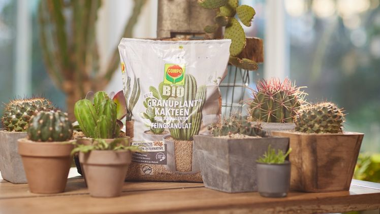 COMPO BIO GRANUPLANT®. Bild: © COMPO GmbH.