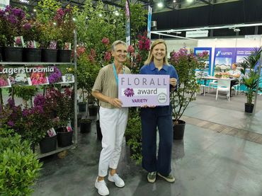 Der Silber-Award wurde an Lagerstroemia indica 'Dancing Angel' von a.Sierplant.be verliehen. Bild: © Florall.