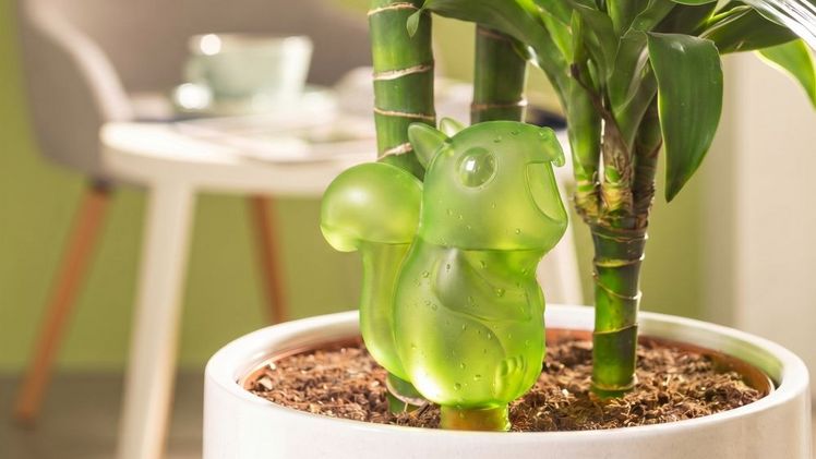 Für alle Pflanzenbegeisterten im Freundes- und Familienkreis ist Freddy eine tolle Geschenkidee. Bild: Scheurich. 