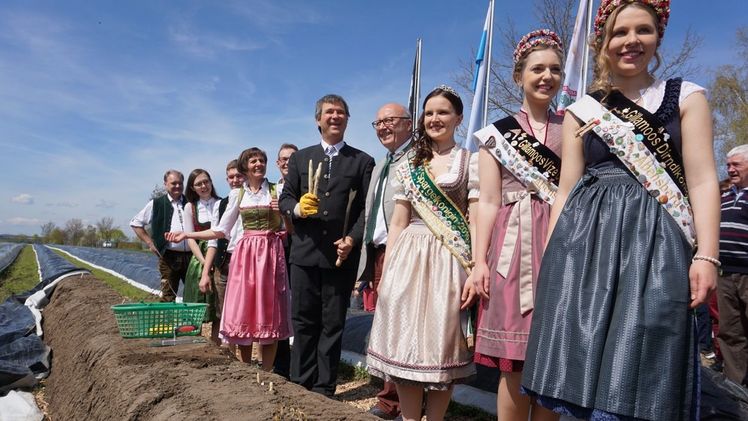 Ein "Ministerpräsident" zur Eröffnung der Spargelsaison 2018 in Abensberg: Kabarettist Wolfgang Krebs eröffnete in seiner Rolle als Double des neuen bayerischen Ministerpräsidenten Markus Söder die Erntezeit des niederbayerischen Edelgemüses. Mit im Bild: der Vorsitzende der Erzeugergemeinschaft, der Kelheimer Landrat Martin Neumeyer sowie die niederbayerischen Spargelhoheiten. Bild: obx-news/Stadt Abensberg.