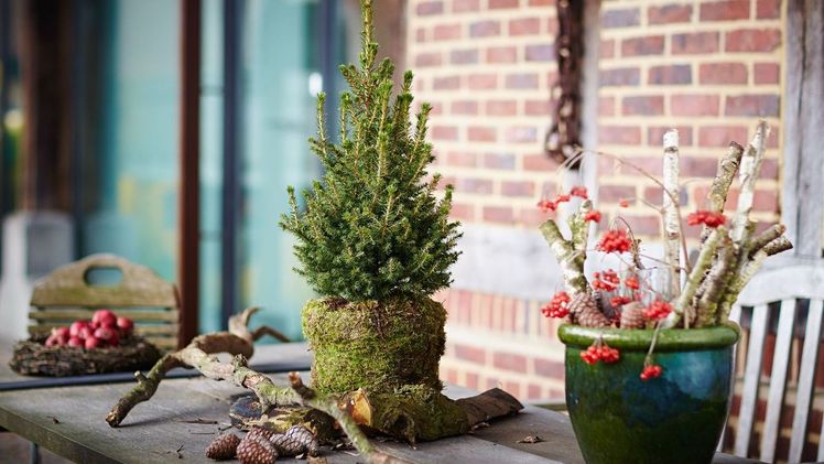 PlusPlants: "Weiß & Pink-das neue Grün" & Klein, aber hohohoho… Bild: PlusPlants.