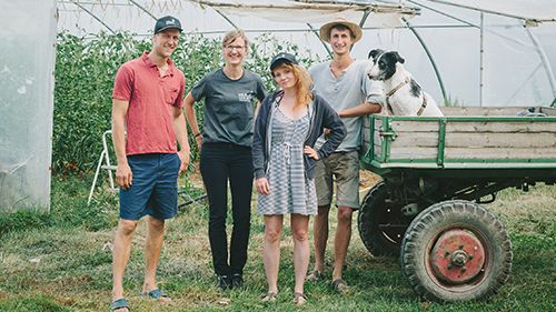 Gesund, biologisch und saisonal liefert KoLa vom Feld direkt in die Konsum-Filialen. Bild: Kola Leipzig eG.