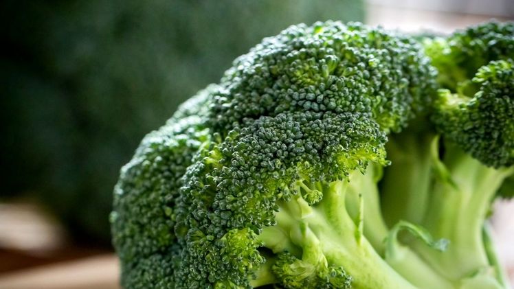 Brokkoli  ist reich an Vitamin C, Kalzium, Karotin und sättigenden Ballaststoffen. Bild: Landgard.