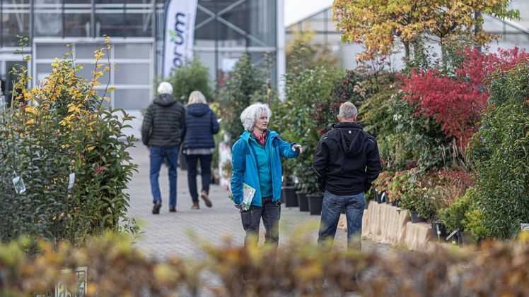 „Die Grüne Promenade“ mit Gehölzen der Aussteller verband den Vortragssaal mit der Ausstellungsfläche in den Gewächshäusern des Gartenbauzentrums in Ellerhoop. Bild: Florum.sh, Tom Quandt. „Die Grüne Promenade“ mit Gehölzen der Aussteller verband den Vortragssaal mit der Ausstellungsfläche in den Gewächshäusern des Gartenbauzentrums in Ellerhoop. Bild: Florum.sh, Tom Quandt.