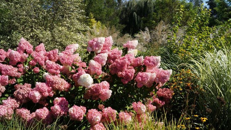 Nach einem Beschluss der AIPH wird die polnische Stadt Łódź 2024 Standort einer Weltgartenbauausstellung sein. Bild: GABOT.