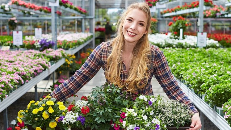 Blütenpracht für die Sonne: Hitzeverträgliche Pflanzen gedeihen gut in Balkonkästen auf der Südseite. Bild: GMH/BVE.