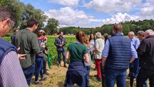 Besucher auf dem Kartoffeltag informieren sich über neueste Entwicklungen im Kartoffelanbau. Foto: LfL.