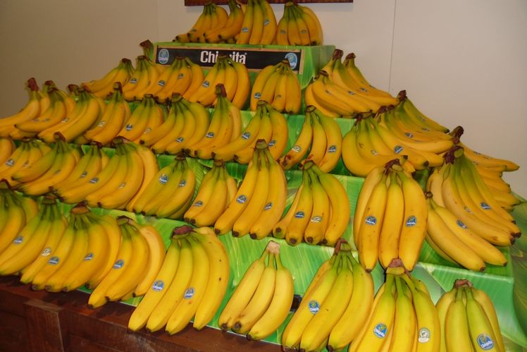 2019 wird zum ersten Mal der Intensivlehrgang der IHK "Experte/in für Fruchtreifung" stattfinden.